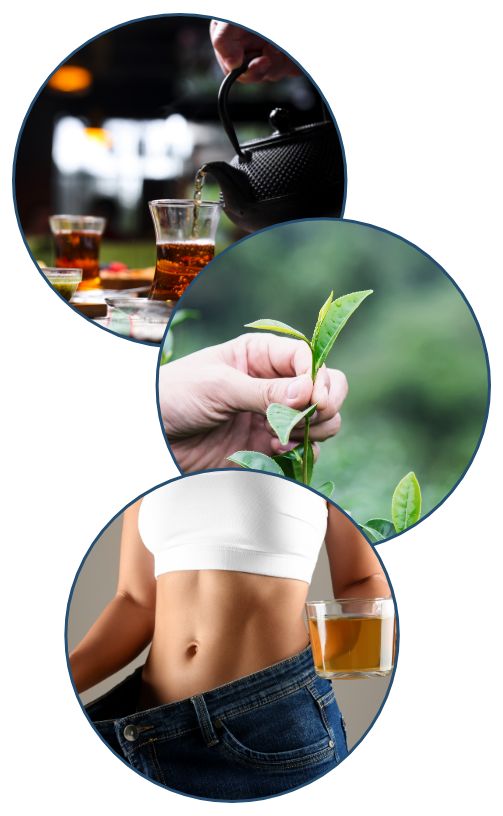 flat-belly-tea-preparation